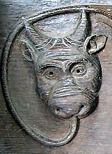 a bovine misericord