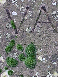 a fine (and modern) tomb slab in the churchyard