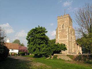 Great Eversden in the late sunshine