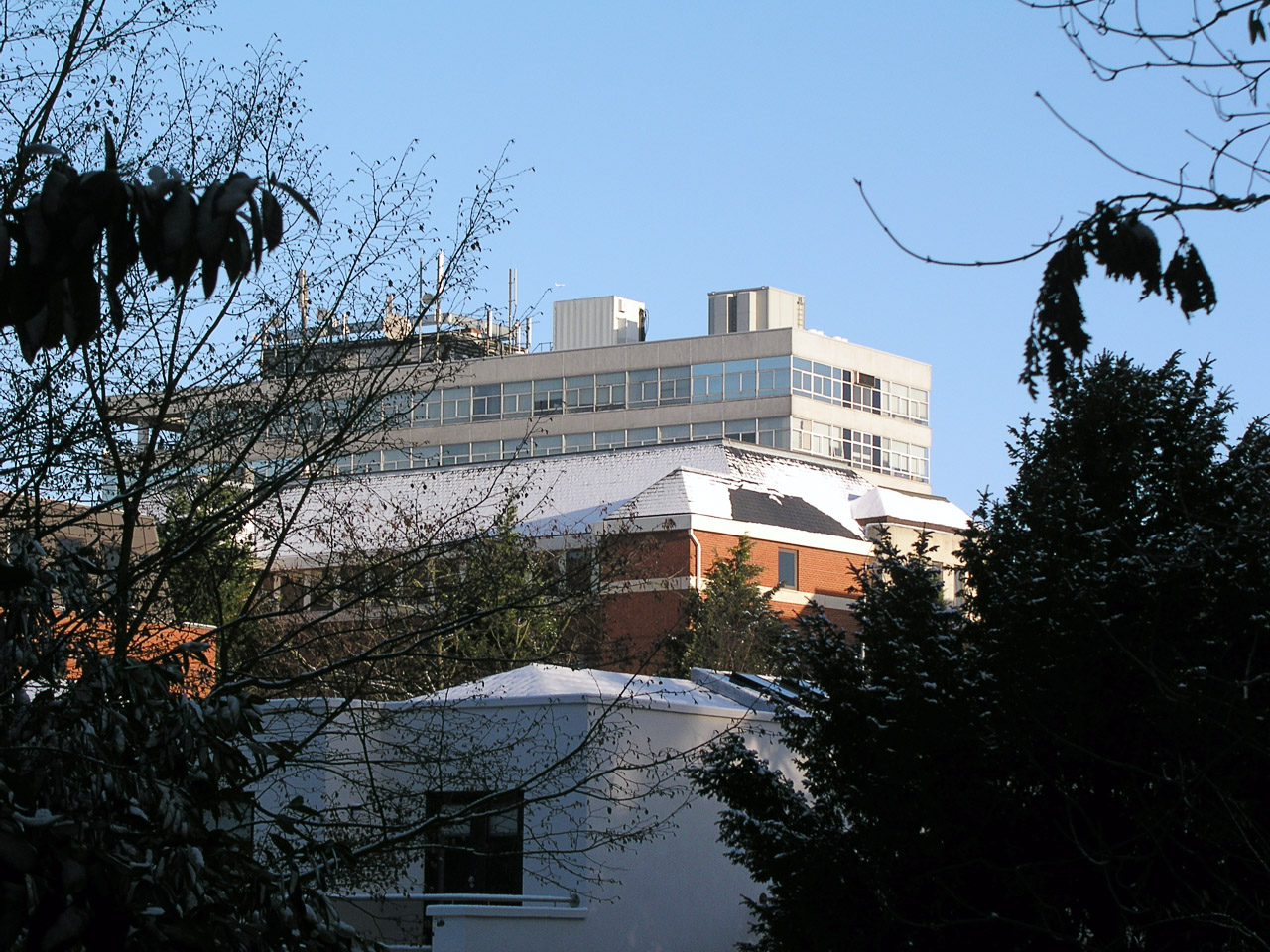 29.01.04-snow.finchley-001