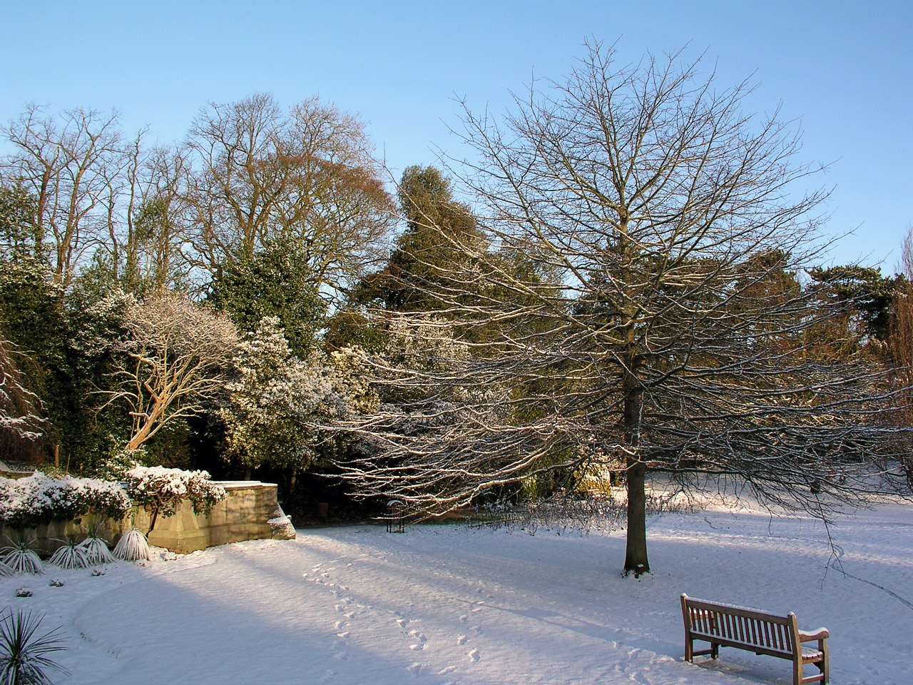 29.01.04-snow.finchley-010