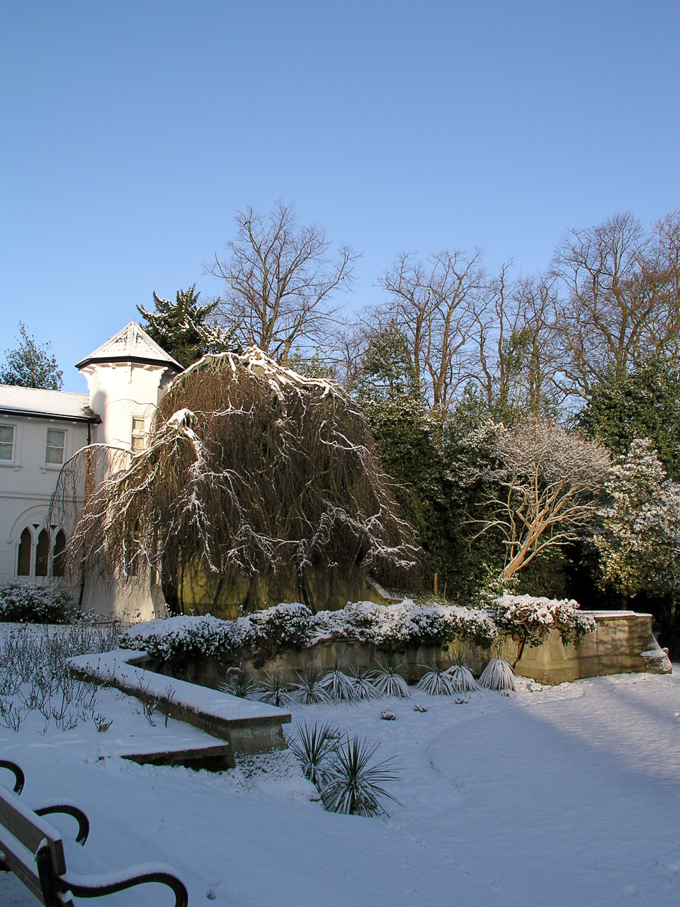 29.01.04-snow.finchley-011