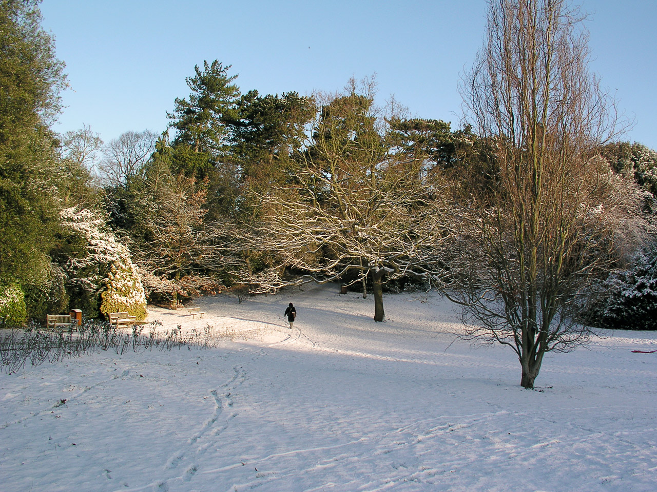 29.01.04-snow.finchley-012