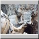 piazza.navona.fontana.dei.fiumi.3.jpg